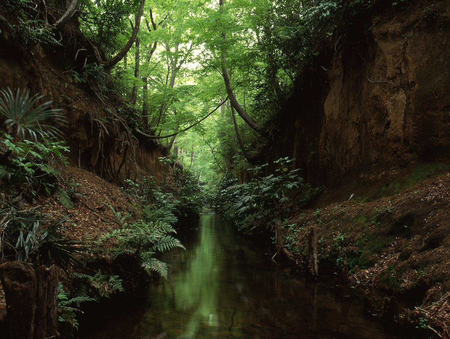 Tamagawa Josui : 4.6 Billion Years Walk – Tokyo Biennale